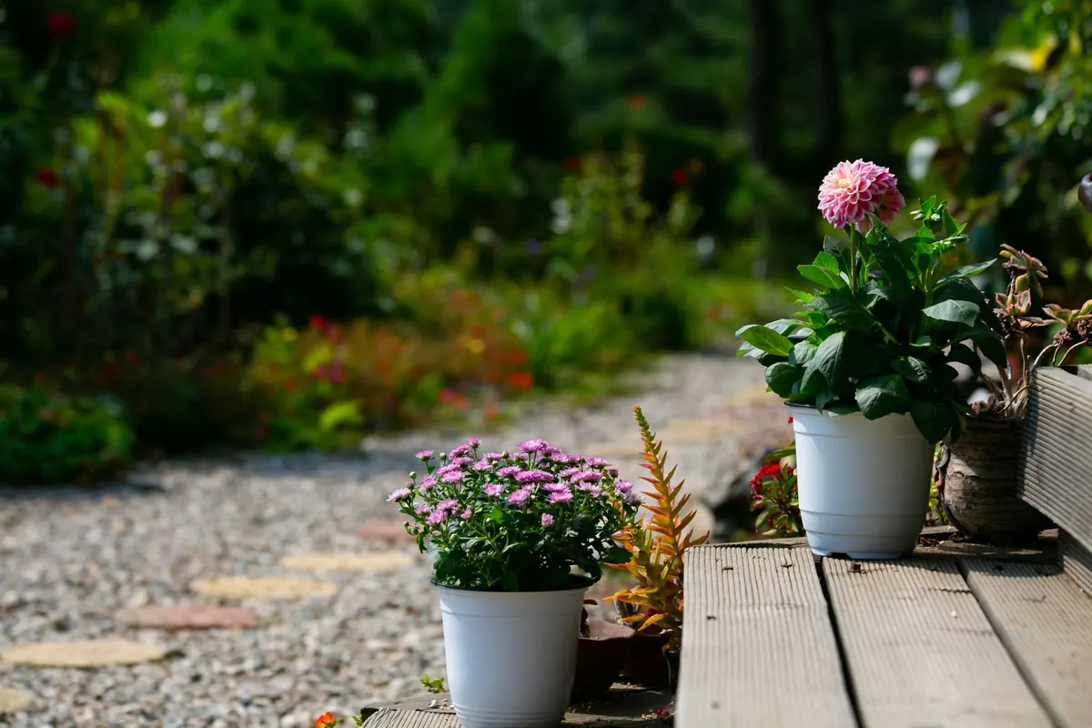 10 Common Mistakes to Avoid When Building a Gravel and Cedar Path