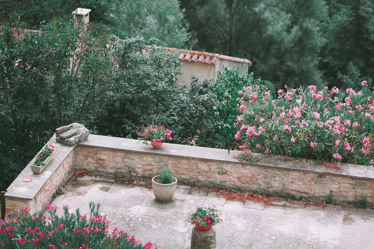 Landscaping a Sloped Garden: Terracing Ideas with Cedar and Stone